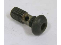 shape steel pre 2k banjo screw, used for autococker front block WGP, no oring