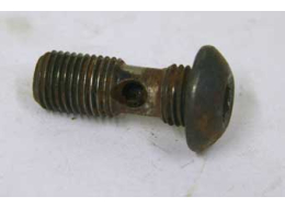 Bad / used shape pre 2k banjo screw, used for autococker front block WGP, no oring