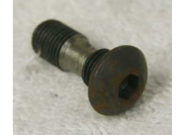 pre 2k banjo screw in steel, with rust on head