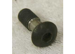 Bad shape rusty, pre 2k front block screw, black steel no oring