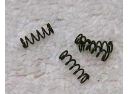 Raptor Safety Spring