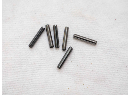 Brass Eagle Stingray valve pins, one included