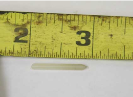 Bolt retaining plastic pin for fastech guns, f2