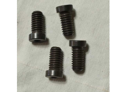 F4 Illustrator back grip frame screw, new