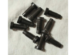 F4 Illustrator front grip frame screw and valve lock, new