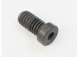 ACI Griffin and F4 back grip frame screw, used shape