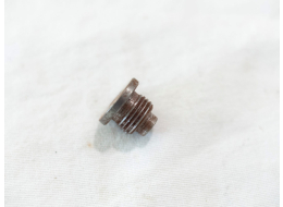 Steel valve retaining screw for nespot, some rust, not sure if stock or not