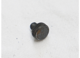 Taso Side Valve Body screw for nelson pump. Used shape, light rust, one included