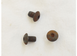 VM68 Trigger Group plate screws, well used & rusted 4x