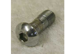 good shape chrome plated pre 2k front block screw, no oring