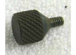 Taso or 007 nelson front frame screw, holds grip frame to body, used decent shape