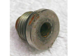 Plated Steel classic CCI phantom valve retaining screw.