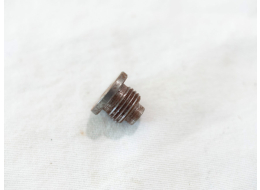 Steel valve retaining screw for nespot, some rust, not sure if stock or not
