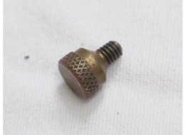 Wintec, maybe lapco brass Side Valve Body screw for nelson pump. Used shape, one included