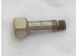 Bad shape Plated Brass Lapco Ghost pump arm screw, used with dings