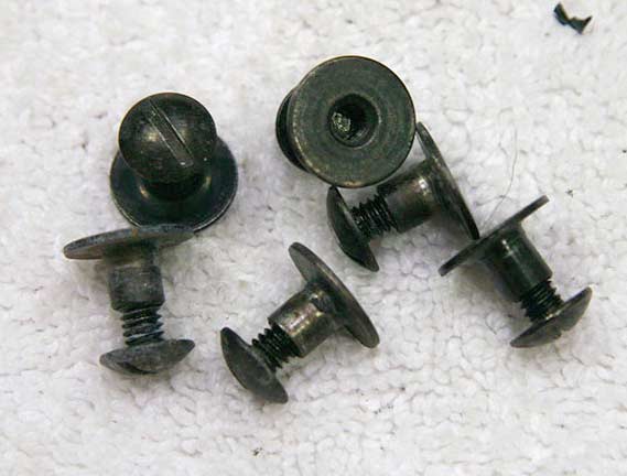 Spectra or flex ear screw, one included. Used.