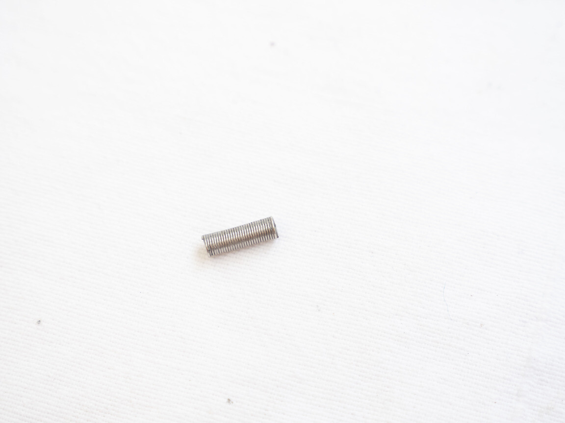 trracer, maverick, hornet or tagmaster detent spring, great shape, one included