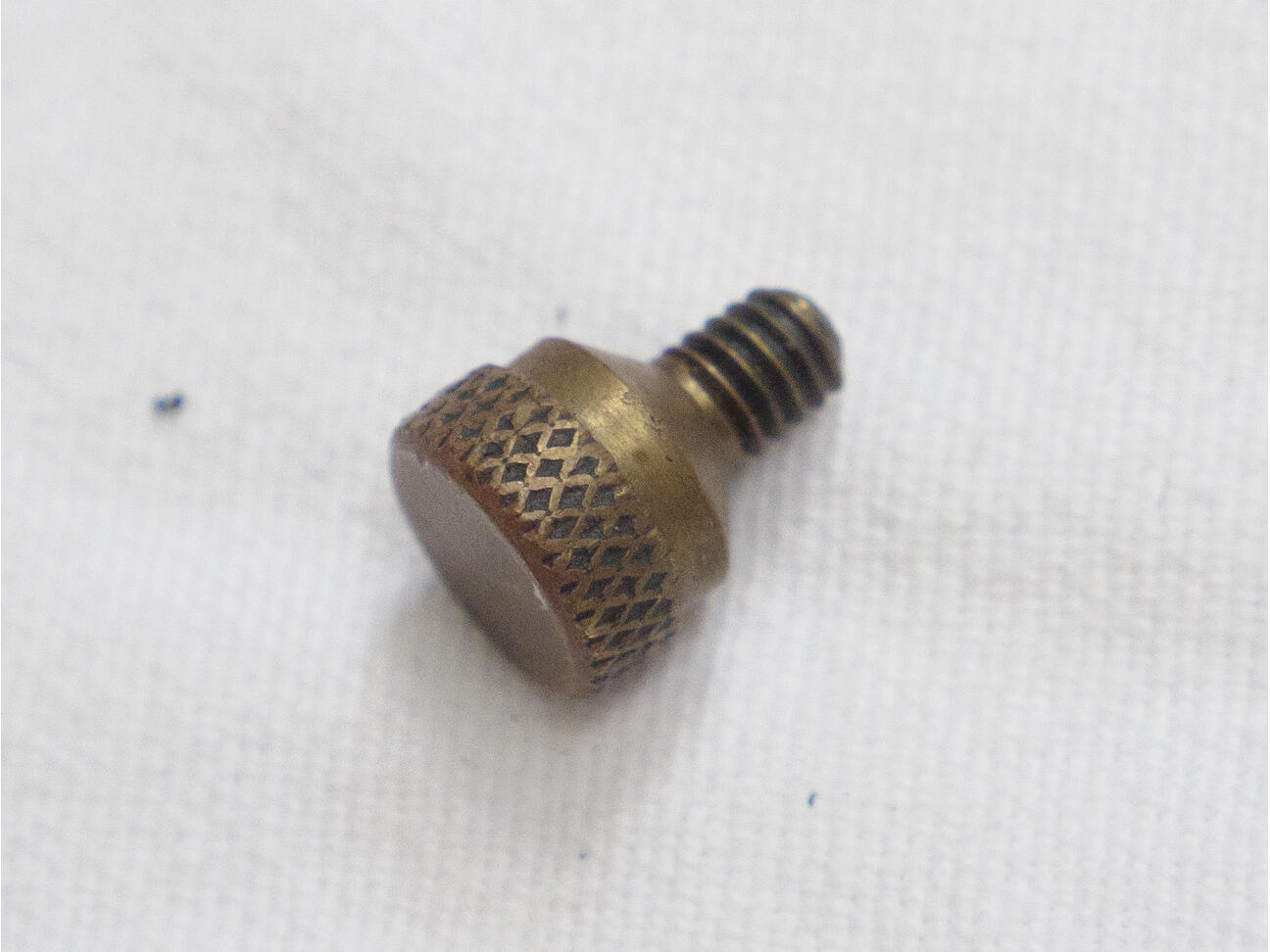 Wintec, maybe lapco brass Side Valve Body screw for nelson pump. Used shape, one included